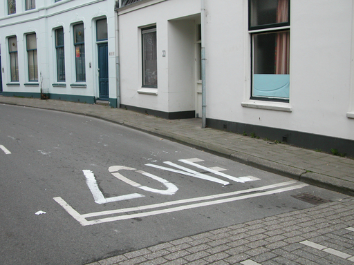 There are lots of places in the city of Utrecht where the word ZONE is painted on the road, this means your speed limit is 30 km/h. At some places the paint wears off and changes the letters, like instead of the letter Z it became L and I noticed that you can easily change ZONE into LOVE. With a group of 17 people we changed all the ZONE's into LOVE's on the night before Valentines Day.